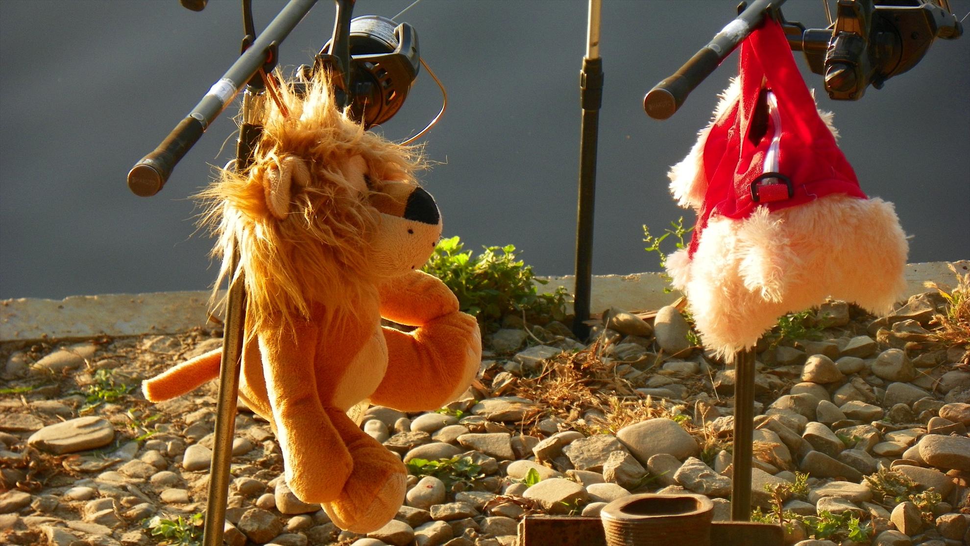 Boiliesmania - 2011 - 1009080.JPG